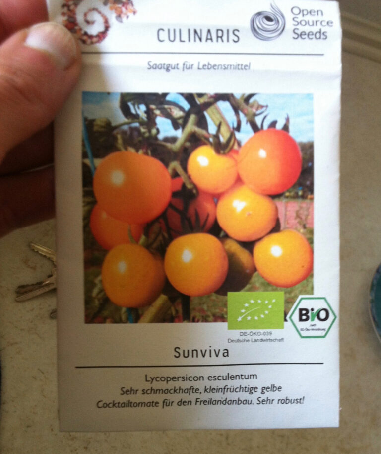 Die unpatentierbare Tomate „Sunviva“: von Göttingen über Berlin nach Leipzig