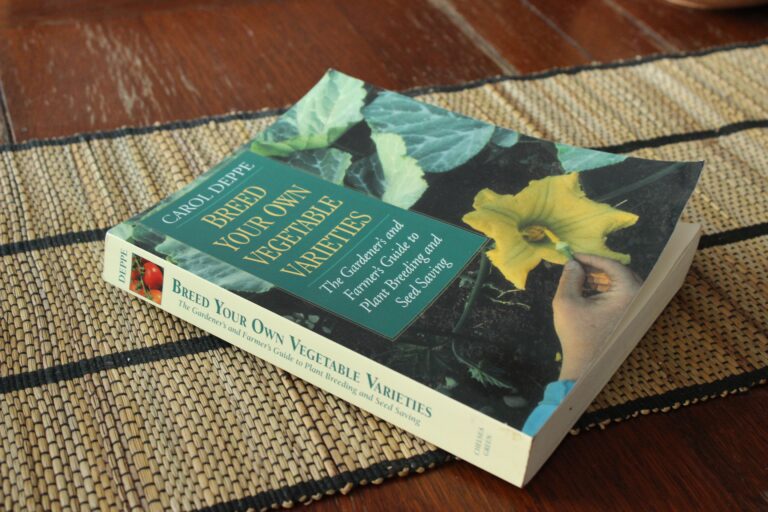 Der Mythos Hybrid-Sorten: Krönung der Züchtung oder Teufelszeug?