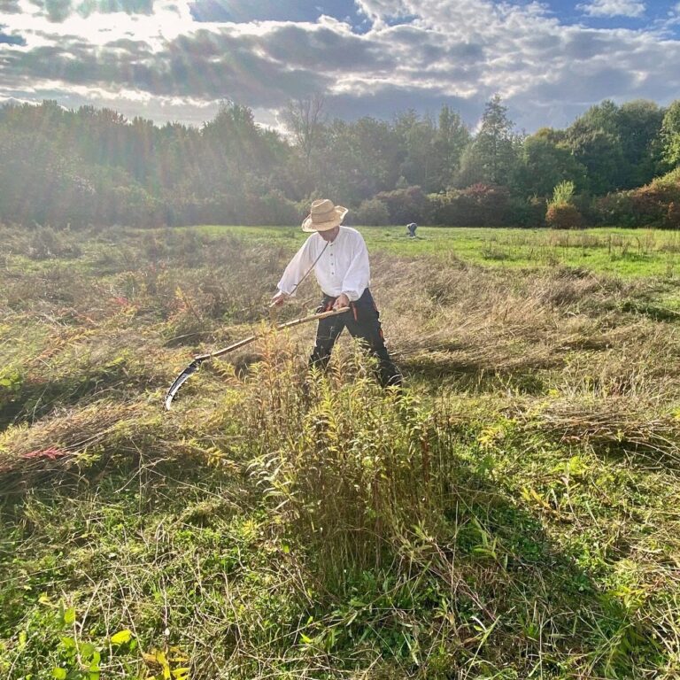 Wildwiesen zwischen Natur und Kultur: Interview mit Martin Kaiser vom BUND in Essen