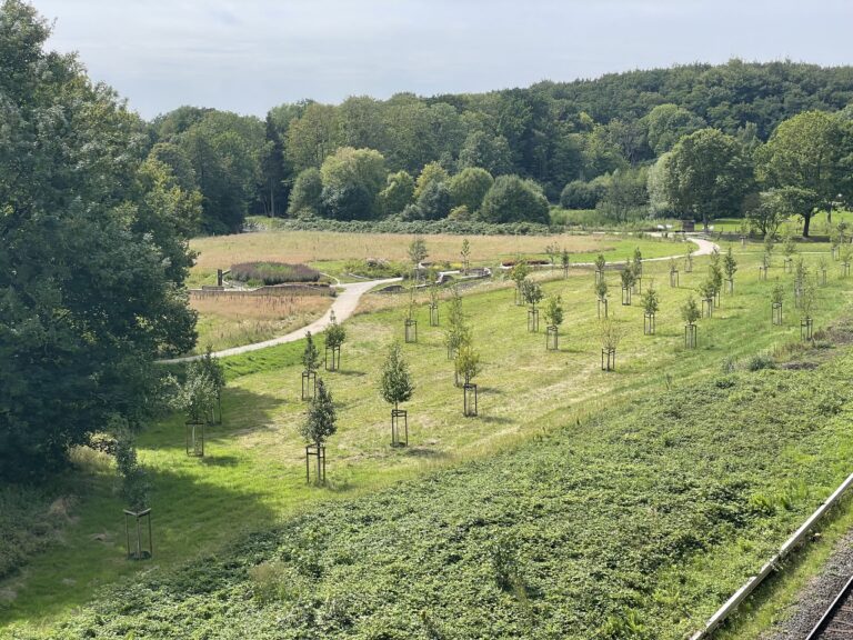 Von urbanen Grünflächen zu biodiversen Lebensräumen: Interview mit Prof. Valentin Klaus